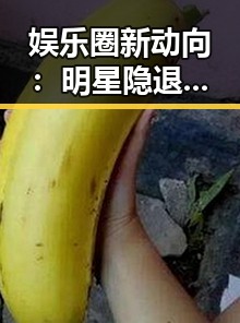 娱乐圈新动向:明星隐退潮背后隐藏的行业变革