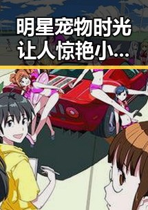 明星宠物时光让人惊艳 小七和小海绵成为娱乐圈不容忽视的温馨亮点